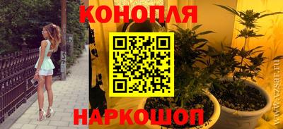 стаф Будённовск