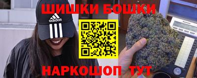 стаф Будённовск