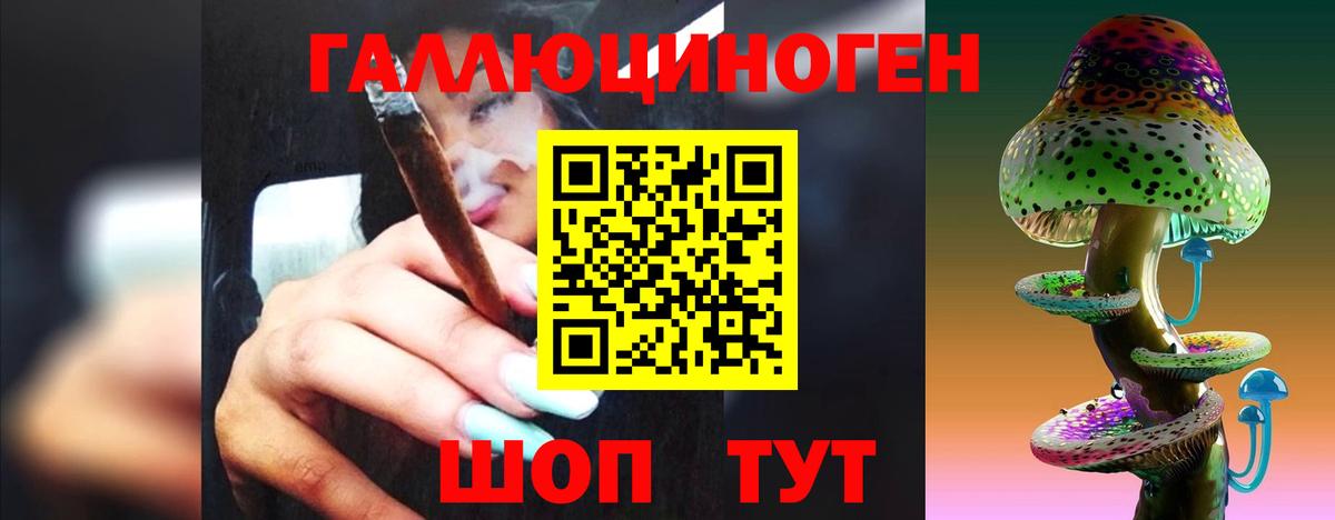 Кувандык  Галлюциногенные грибы Psilocybine cubensis  Вход с VPN 